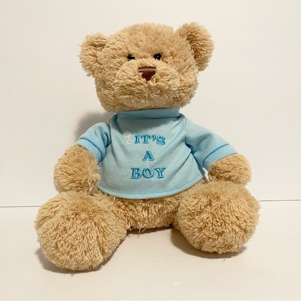Gund Plush Baby Teddy Bear Its A Boy T Shirt Blue 12” Stuffed Toy Brown Lovey